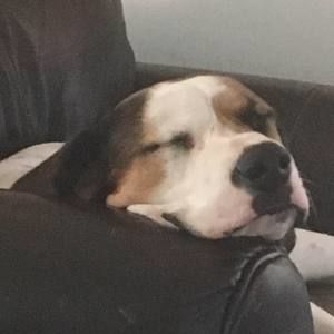 Meet your Posher, Luke